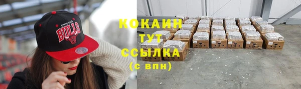 стафф Арсеньев