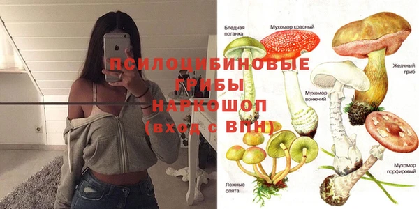 стафф Арсеньев