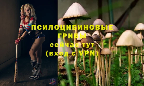 гашиш Аркадак