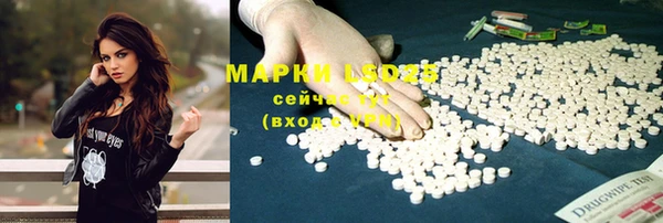 стафф Арсеньев