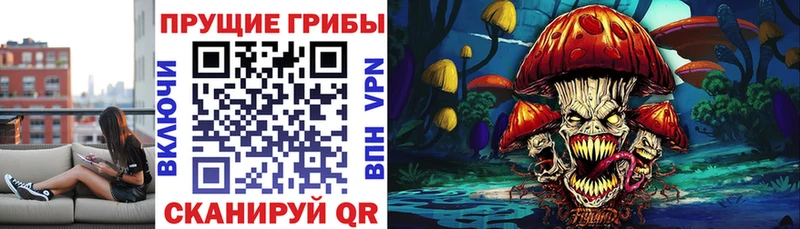 сколько стоит  Белебей  Псилоцибиновые грибы Psilocybe 